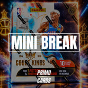 Castle Mini - 2024/25 Court Kings Hobby (7228)