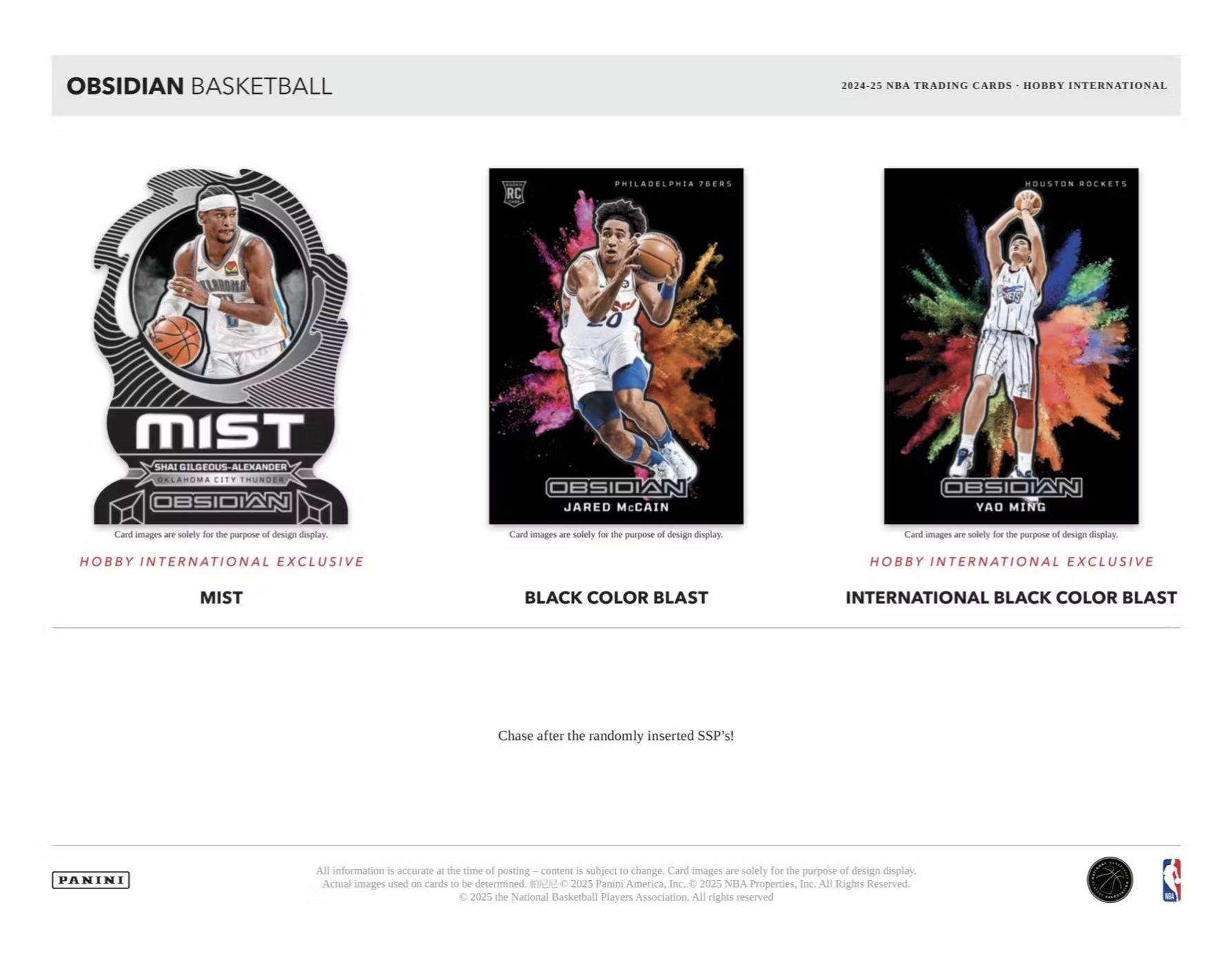 2024/25 Panini Obsidian Basketball International Hobby Box - Private NBA Break