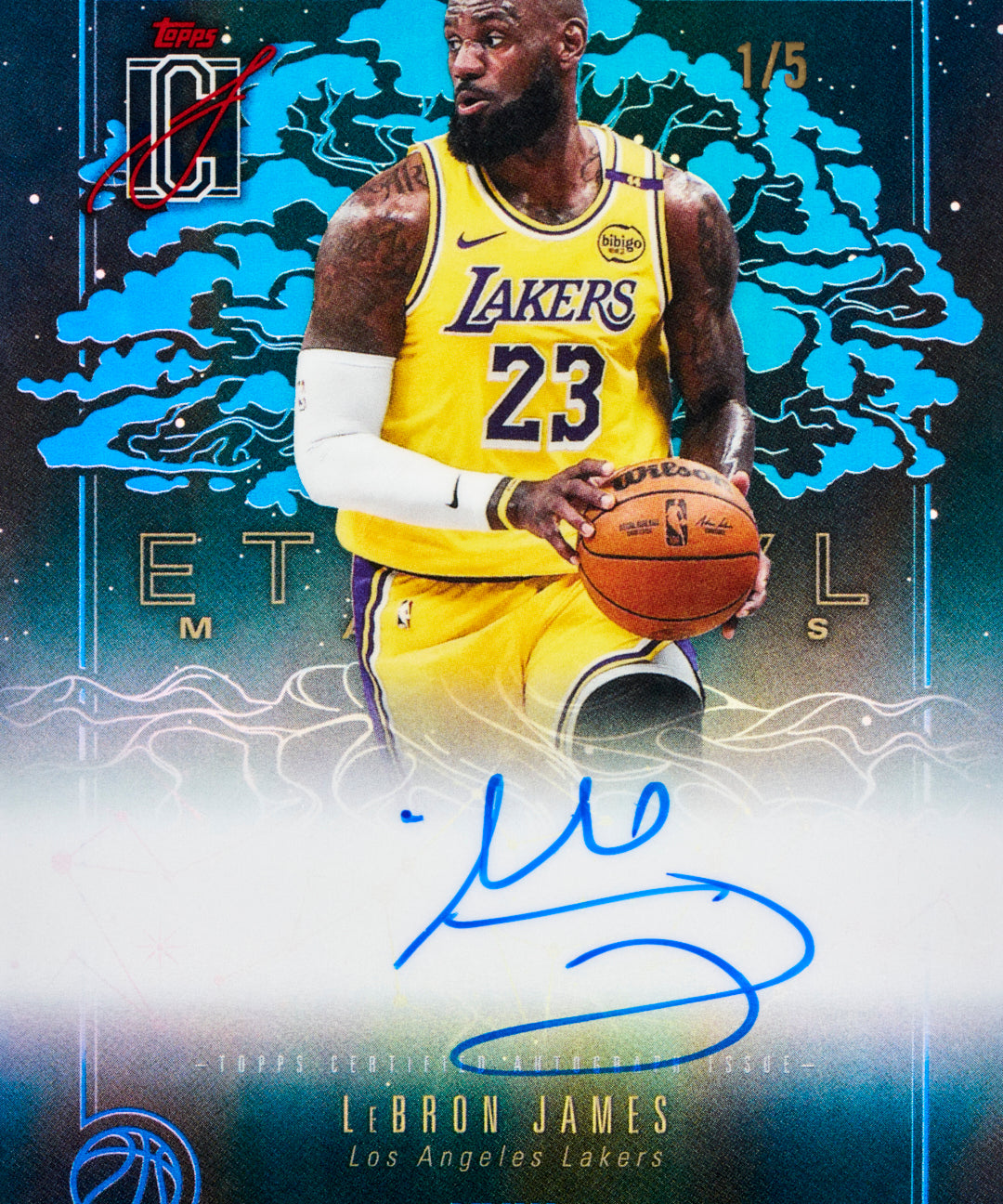 TOPPSSIGNATUREHOBBY_1.jpg